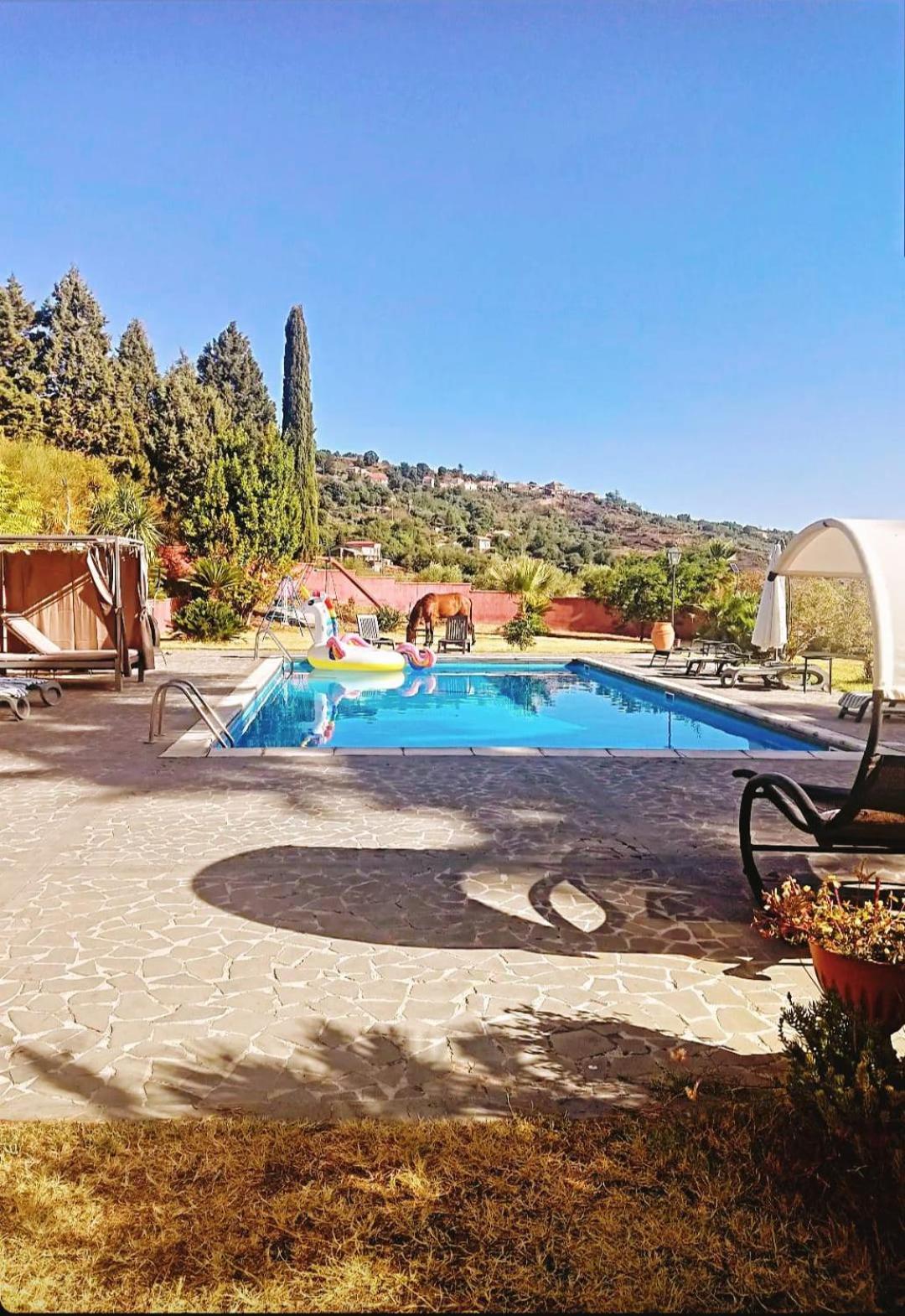 Villa Alessio - Case Vacanza Con Piscina Sull'Etna Puntalazzo Exterior photo